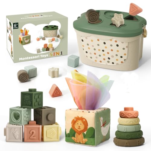 Auezona 5 en 1 Jouet Bébé 6 Mois Montessori – Jeux...