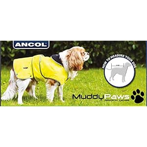 Ancol Highland Tartan Dog Coat, L Ancol Highland Tartan Dog Coat, L