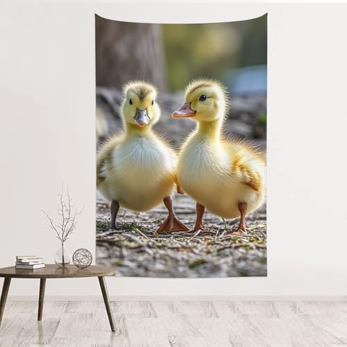 Tapisserie murale canards mignons GJHKSSVB 152x101 cm grand format