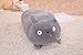 LEIhhdy 30-90 cm Doux Animal Oreiller Coussin Mignon Gros Chien Chat Totoro Pingouin Cochon en Peluche en Peluche Belle Enfants Cadeau d'anniversaire 60 cm Totoro