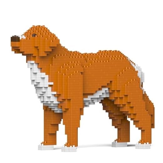JEKCA Nova Scotia Duck Tolling Retriever 01S-M01 | Dog Plastic Building Blocks | Age 14+