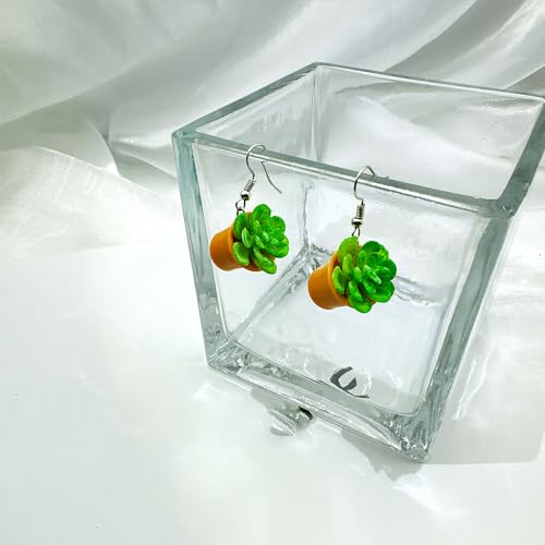 Unique Hanging Plant Earrings - Flower Pot & Cactus Designs - Women's Gifts3