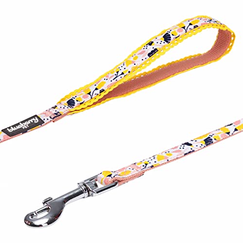 Blueberry Pet Durable Made Well Blooming Floral Print Dog Leash In Creamy White, 5 Ft X 5/8", Small, Leashes For Dogs #TOP3