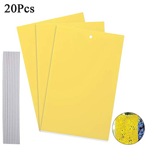 Preisvergleich Produktbild ManLee 20 Pcs Fliegenfänger Sticker Fliegenfalle Gelbtafeln Fänger Sticker Gelbsticker Klebrige Insektenfalle Klebrige Falle Gegen Blattläuse Trauermücken Weiße Fliege Zikaden