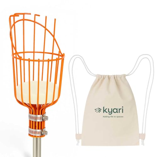Image of Kyari Fruit Plucker | Strong Metal Claw for Easy Fruit Picking from Trees | Lightweight, Durable & Rust-Resistant | Ideal for Mangoes, Guavas, Sapotas & More