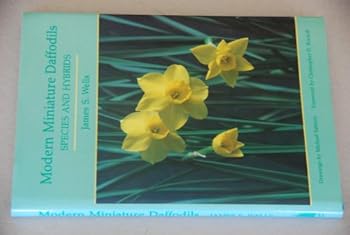 Hardcover Modern Miniature Daffodils : Species and Hybrids Book