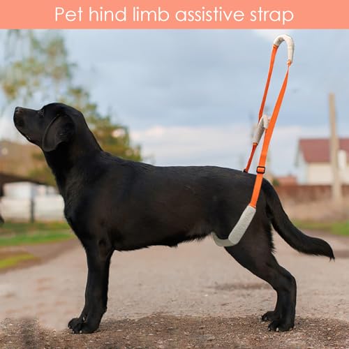 Hundegeschirr Grosse Hunde Gehhilfe mit Sicherheitsgurt - Tragehilfe für Kranke & Altere Hunde