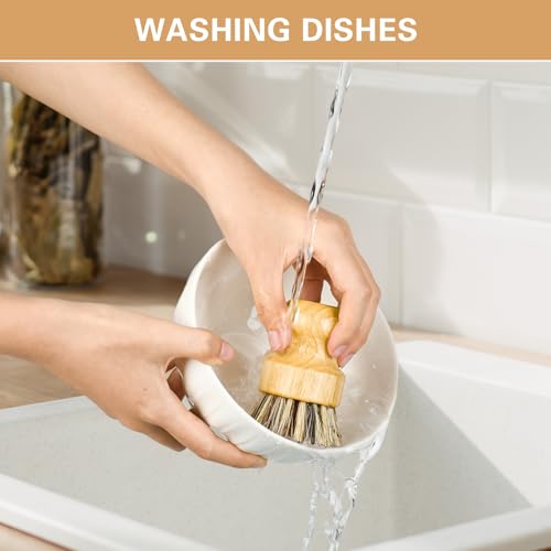 Image of Wooden Dish Brushes, Dish Scrubber Brush for Cleaning Dishes, Natural Sisal + Palm Bristles, Set of 2