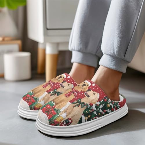 Slippers for Women Indoor and Outdoor Comfortable Plush Fluffy Cotton House Slippers Winter Shoes for Women2