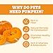 Wellix Pumpkin Powder for Dogs & Cats - Fiber Supplement, Digestion Support, Firms Stool, Dog & Cat Diarrhea, Constipation Relief, Gut Health - Food Topper for Dogs & Cats, Larger Volume