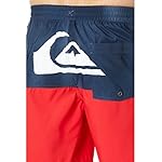 Quiksilver Butt Logo 17" Volley - Image 3