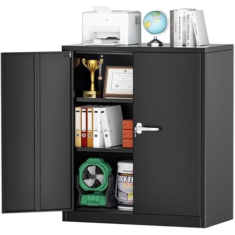 INTERGREAT Steel Storage Cabinet with Lock Cover