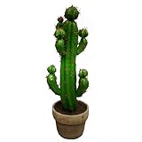 ☞Material de alta calidad: esta escultura de cactus está hecha de material plástico de alta calidad, liviana, fuerte en resistencia a la corrosión, no es fácil de romper, duradera e impermeable, y puede garantizar la vida útil del producto hasta cierto punto.