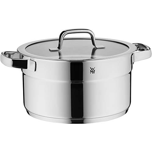 WMF Compact Cuisine   Olla Grande (24 cm, Tapa de Cristal, 5,6 L, Acero Inoxidable Cromargan, Acero Inoxidable Pulido, apilable, sin Revestimiento)