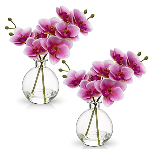 Oairse Pink Phalaenopsis Set with Glass Vases