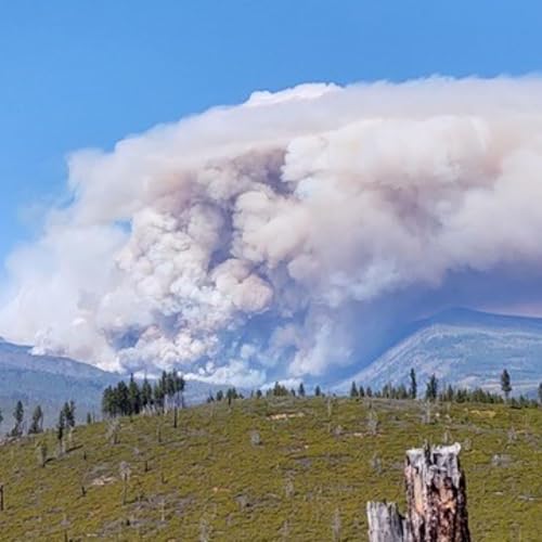 Page de couverture de Untold: How an Oregon ranger saved hundreds from the 2020 Labor Day Fires