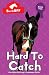 Hard to Catch (BarnBFF)