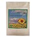 300 Dwarf Sunflower Asteraceae Seeds ~Chris's Garden