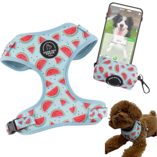 GoodBoyRoger-Arnes Localizable sin cuota- Sin GPS-arnes Perro pequeño-Mediano-arnes para Gatos-Conjunto para Perros-localizador NFC