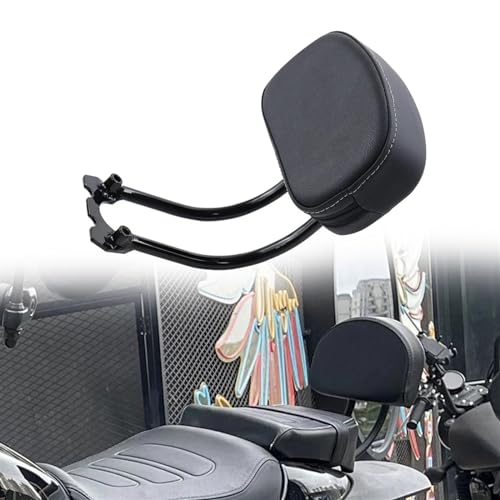 Barre sissy et coussin pour voyager à deux en Harley Sportster S RH1250S