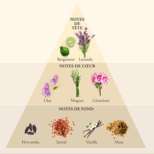 WHISKY Eau de Toilette for men 100 ml