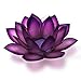 Om Gallery Capiz Shell Lotus Tea Light Holder, Passion