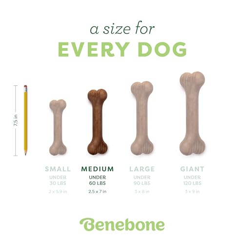 Image of Benebone Bone Durable Dog Chew Toy for Aggressive Chewers, Real Bacon, Made in USA, Medium