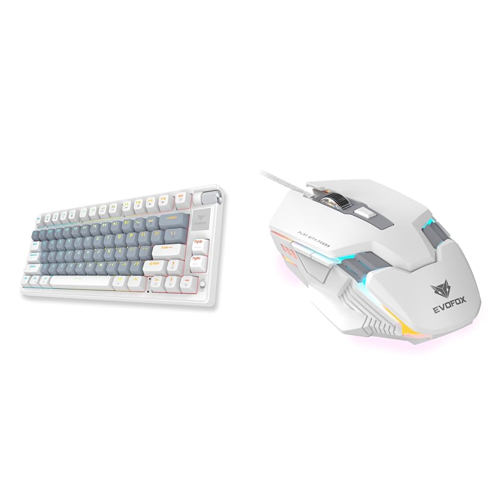 EvoFox Ronin Wireless TKL Mechanical Keyboard (BT+2.4GHz+Wired