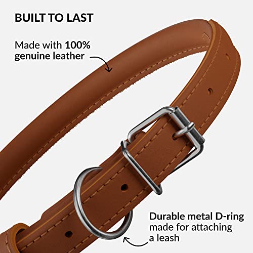 Collardirect Rolled Leather Dog Collar, Soft Padded Round Puppy Collar, Handmade Genuine Leather Collar Dog Small Large Cat Collars 6 Colors (12-14 Inch, Brown Smooth) #TOP2