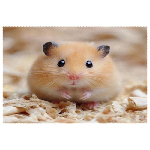 Sets de table anti-taches Clever Hamster pour protéger le bois - 2