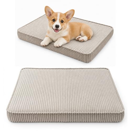 FORTISLINE Hundebett mit abnehmbarem Bezug- Hundematte aus POSO Stoff mit Rutschfester Unterseite und Schaumstofffüllung für Zuhause und Indoor- Kennel (Beige, M: 65 x 45 x 8 cm)