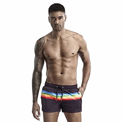 Men's Pride Rainbow Stripe Swim Trunks Quick Dry Beach Shorts with Pockets3