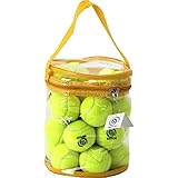 Briton Pressure Less Tennis Balls with Carrying Bag (Pack of 24) ...
