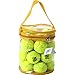 Briton Pressure Less Tennis Balls with Carrying Bag (Pack of 24) ...