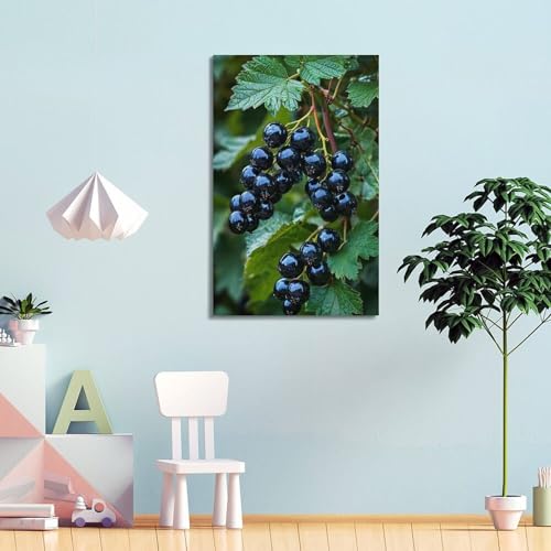 Poster fruits cassis sur branche pour égayer un mur blanc sans cadre