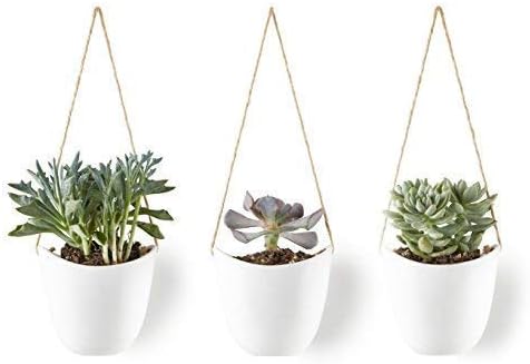 Modern Ceramic Hanging Planters, Succulent Plant Pots, Set of 3