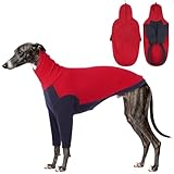 DENTRUN Greyhound Dog Sweatshirt, Fleece Turtleneck Jumper for Greyhounds & Whippets - Warm Knitted Sweater for Lurchers, Italian Greyhounds, Salukis (S, Red)