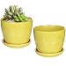 Set of 2 Yellow Sunburst Design Ceramic Flower Planter Pots / Decorative Plant Containers with Saucers