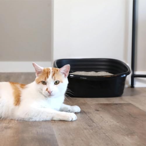 Arenero abierto para gato pequeño negro reciclado miniatura 7