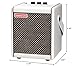 Positive Grid Spark MINI 10W Small Smart Guitar Amp & Bluetooth Speaker | Portable Sound for Guitar Playing at Home or On The Go | Pearl