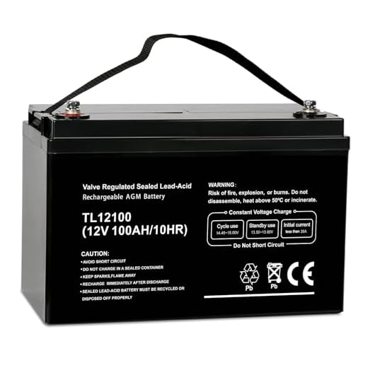 Weize Deep Cycle AGM 12 Volt 100Ah Battery, Maintenance-Free, 3% Self-Discharge Rate, 1150A Max Discharge Current, Perfect for RV, Solar, Trolling Motor, Wind, Marine, Camping and Off-Grid System