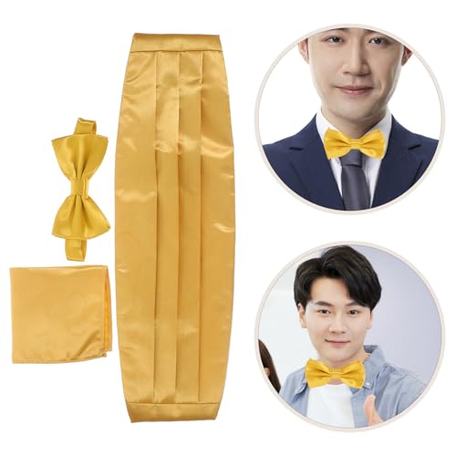 Set formal de fajín y corbata de moño para hombre miniatura 6