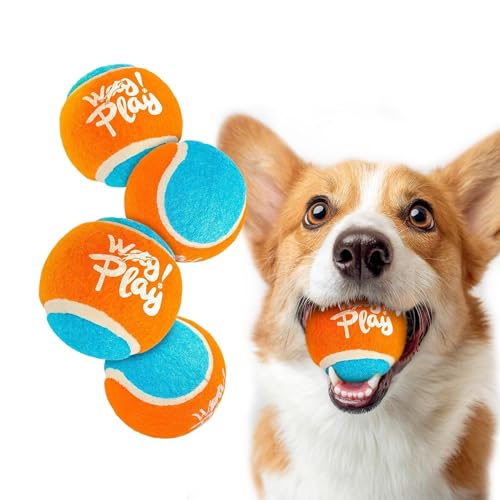ALL FOR PAWS 2.5" Tennis Balls for Dogs, Dog Balls for Ball Launcher Toy, Bouncy & Durable Fetch Balls for Medium Large Dogs, 4 Pack Fetch Toy for Outdoor Play