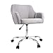 SMUGDESK Home Office Chair Padded Computer Task Chair Adjustable Desk Chair with Swivel Casters for Office Leisure Grey