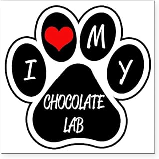 CafePress I Love My Chocolate Lab Square Car Magnet 3 X 3 Square Car Magnet, Magnetic Bumper Display