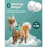 FAYOGOO Cat Harness and Leash Set | Upgrade Step-in Escape Proof Harness | Lightweight Soft Vest, No-Choke Design for Walking, Travel, Camping (Green) - Image 4