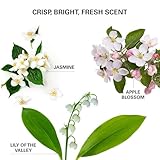 Color Wow Insta-WOW Advanced Dry Shampoo – Breaks down and removes oil for shampoo-grade results | No grit, no clumping, no powdery residue | Best dry shampoo for oily hair - Image 6