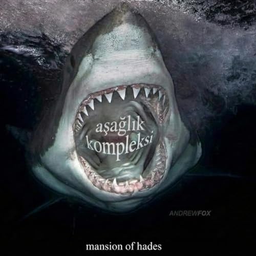 Exlerimin Aşağılık Kompleksi Üzerine cover art