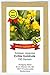 Produktbild Echte Goldrute - Solidago virgaurea - alte Zier- + Arzneipflanze - 150 Samen