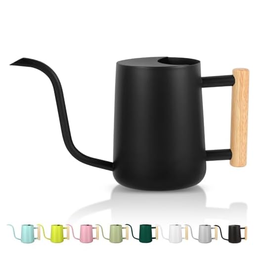 GUKJOB Plant Watering Can,35oz Metal Watering Can,Stainless Steel Indoor Plants with Long Curved Spout,Small Bonsai Outdoor Garden Modern Decorative(Black)